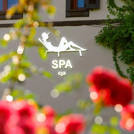 Spacja Villa