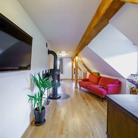 Villa Spacja Wężówka